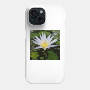 Egyptian Lotus Phone Case