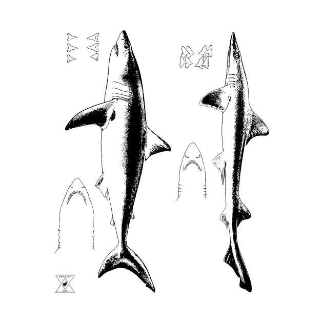 Great White Shark & Mako | Ocean Sea Animal Science by encycloart