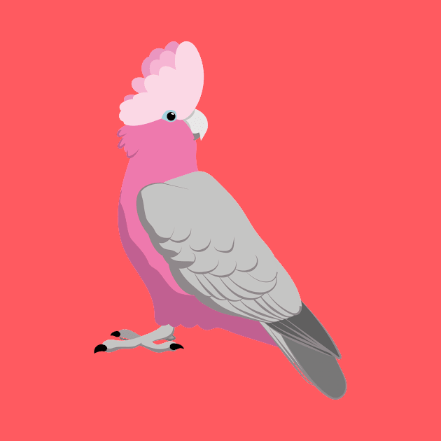 Galah pink cockatoo by Zolinstudio