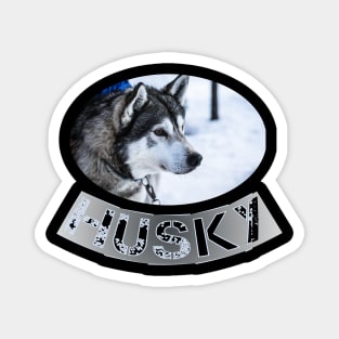 Husky Magnet