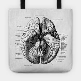 Human Brain Diagram - Anatomy Tote