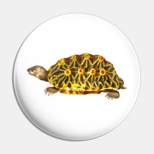 Yellow turtle in colorful vintage design Pin