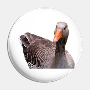 Greylag Goose Pin