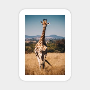 Life with lovely giraffe Magnet