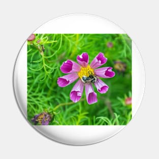 Bee on a flower Pin