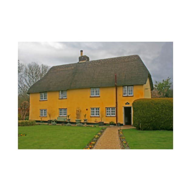 Dorset Thatched Cottage, March 2021 by RedHillDigital