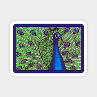 Peacock Magnet