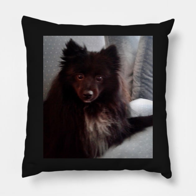 Pom IV Pillow by jennyleeandjim