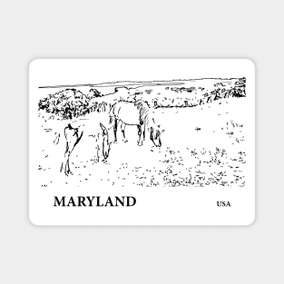 Maryland USA Magnet