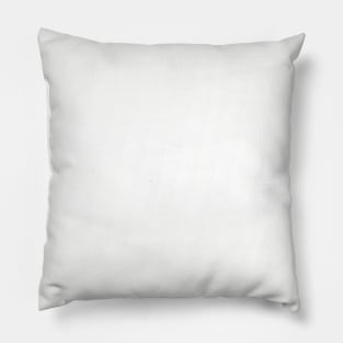 2006 Pillow