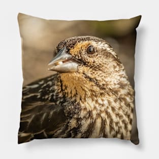 Sparrow with a Seed Photograph Pillow