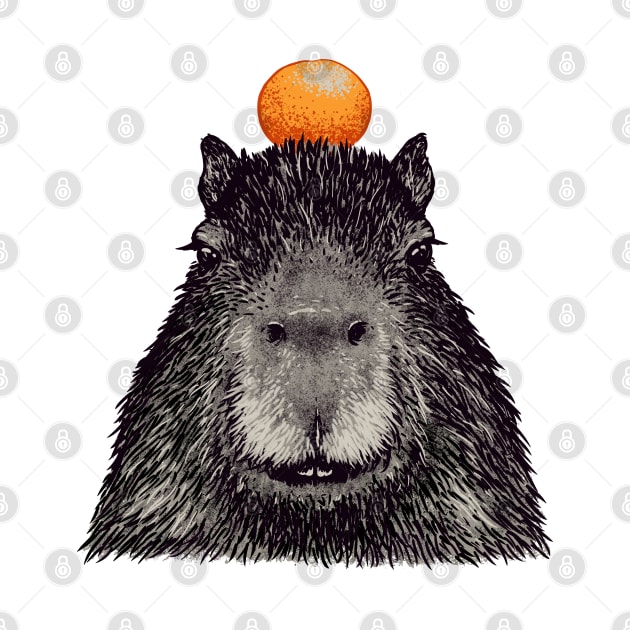 Capybara  Orange | Capy Yuzu | Capybara with Orange on Head | His Name - Gort | Portrait by anycolordesigns