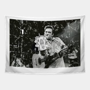 And Why Should I Care Mr. Cash Tapestry