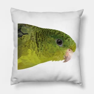 Catita Barrada Pillow