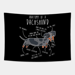 Blue Dapple Dachshund Dog Anatomy Tapestry