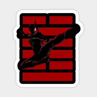 Snake Eyes Magnet