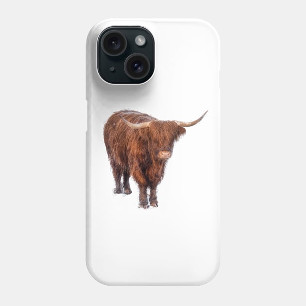 Highland Cow Phone Case by derek beattie