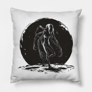 Anomaly on the Moon Pillow