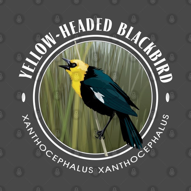 Yellow-Headed Black Bird Round by Birds by D.H. Kafton Studio