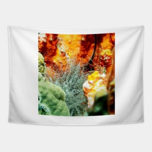 Corkscrew Anemone and Arrow Crab Coral Reef Grotto Tapestry