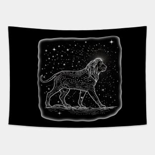 Star lion Tapestry