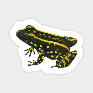 Endangered Frog Magnet