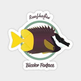 Bicolor Foxface Magnet