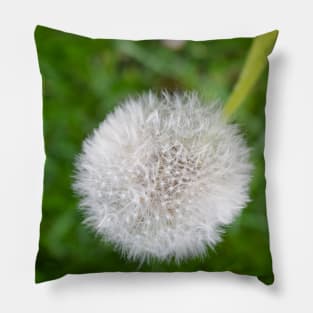 Dandy Pillow