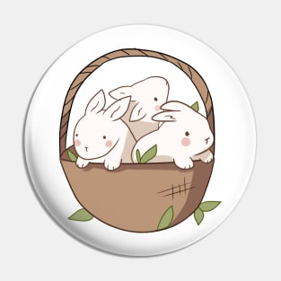Bunnies pasket illustration Pin