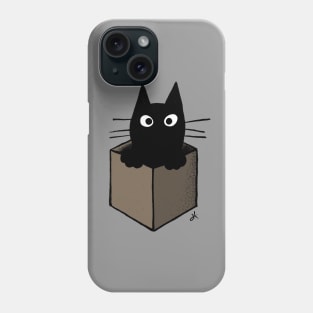 Black Cat in a Cardboard Box Phone Case