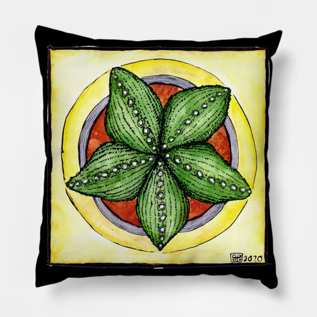 Astrophytum cactus star cacti plant watercolour illustration Pillow by Pragonette