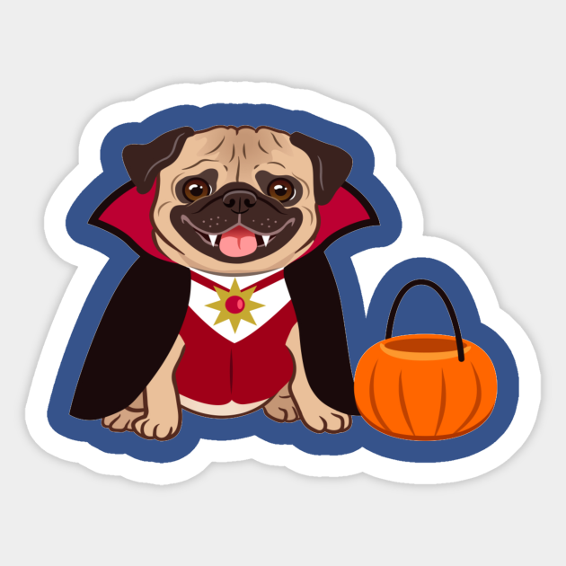 dog vampire costume