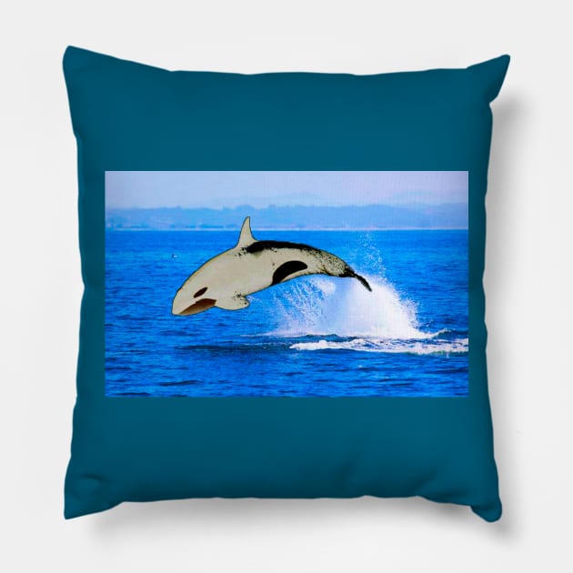 Trevert Minus the Orca Pillow by idbillustrations