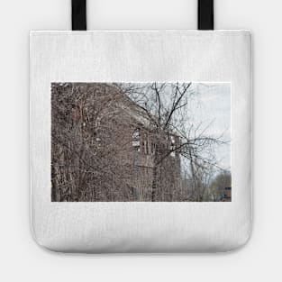 Old barn Lakeshore ON. Tote