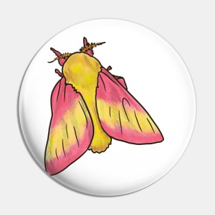 Rosy Maple Moth Pin