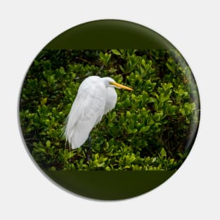 Great Egret In The Mangrove Tree Pin