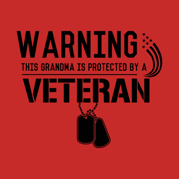 Grandma Protected by a Veteran by veerkun