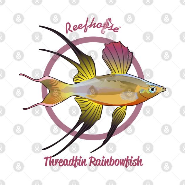 Threadfin Rainbowfish by Reefhorse