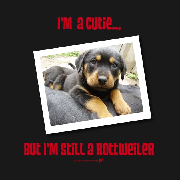 Rottweiler Cutie by trevorb74