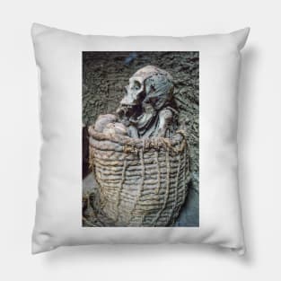 121417 mummified Pillow