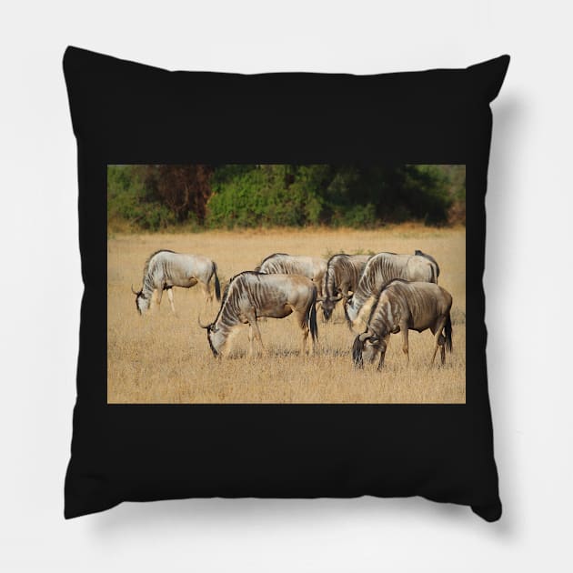 White Race Wildebeest Herd Grazing Pillow by Carole-Anne