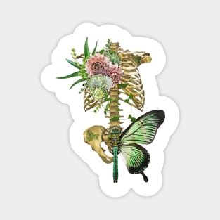 Skeleton, Flower And Butterfly Magnet