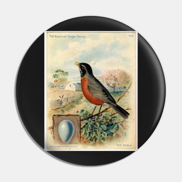 Red Robin, Vintage print, Circa 1800-1900 Pin by born30