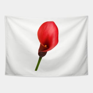 Striking Red Calla Lily for Flower Lovers Tapestry