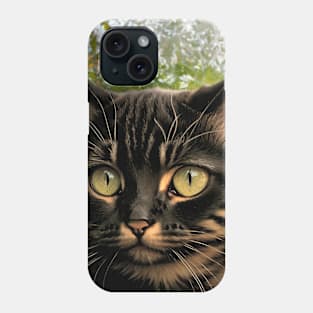 Beautiful Cats Cute Kittens Phone Case