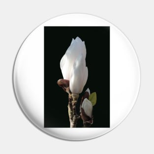 Budding magnolia Pin