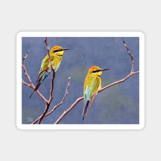 Rainbow Bee-eaters Magnet