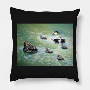 Eiders in family Pillow