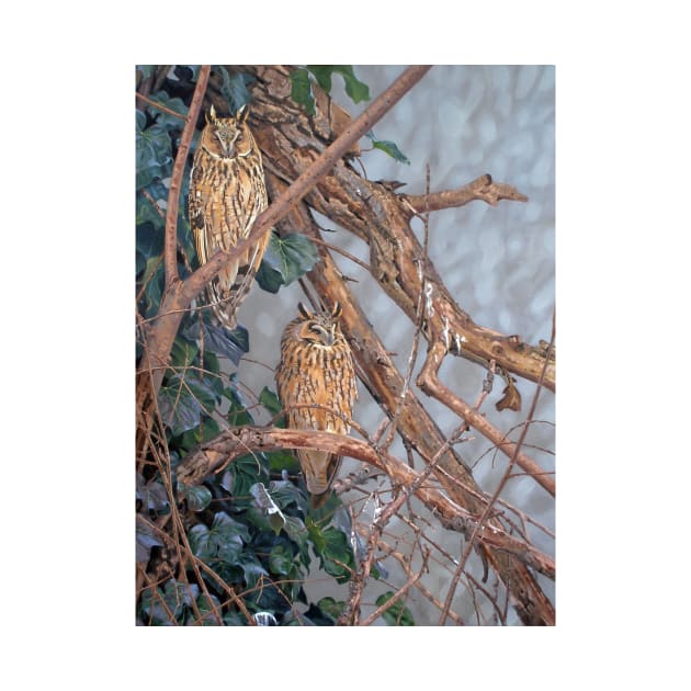 Long-eared Owls by kokayart