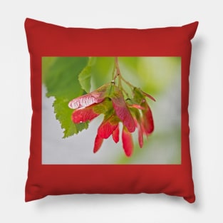 Red Seeds of Maple Tree Pillow